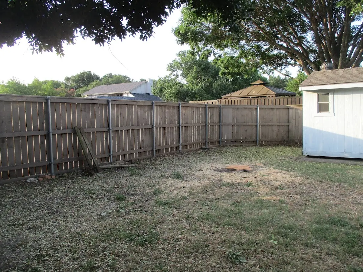 Cleared yard after professional tree removal in Nadeau
